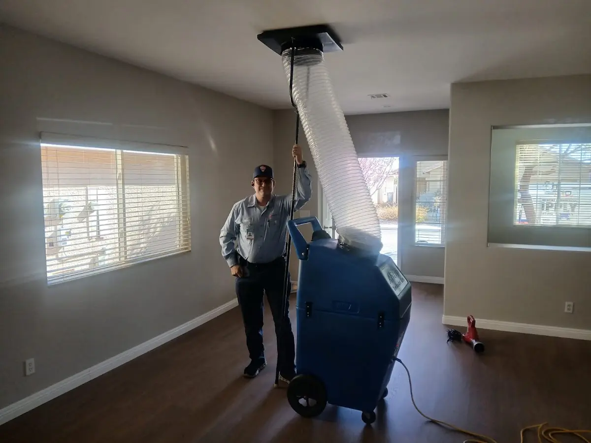 Professional Dryer Vent Cleaning work inside a Park Ridge home